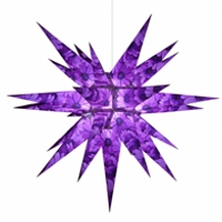 Herrnhuter Innenstern Kapmargerite - I6