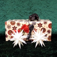 Artikel-Bild-GESCHENKSET - 2 Ministerne weiß mit Netzteil