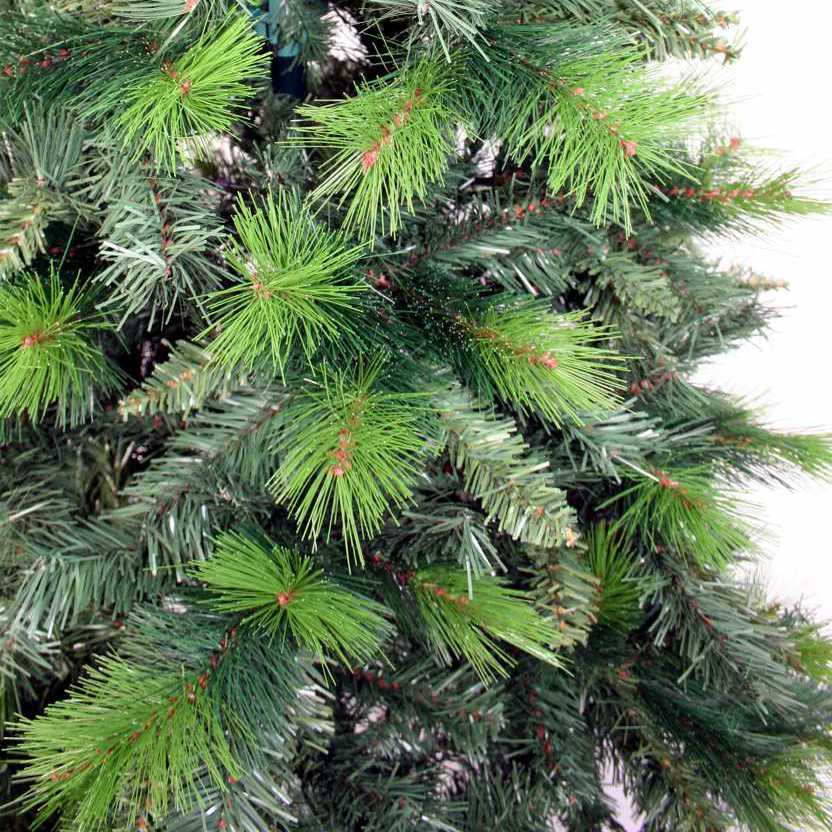 Weihnachtsbaum - Regina - 313 - 79 - 0 - 1